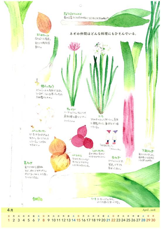 野菜カレンダー