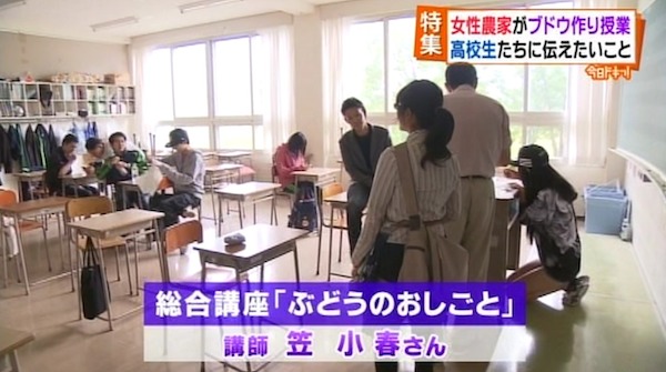 ブドウのお仕事