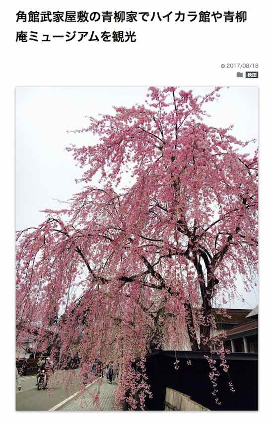 角館の桜