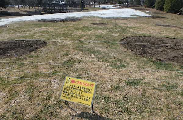 電牧