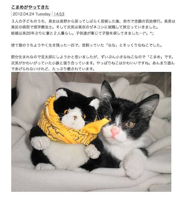 こまめ