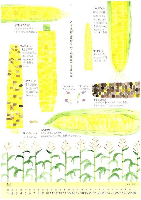 野菜カレンダー