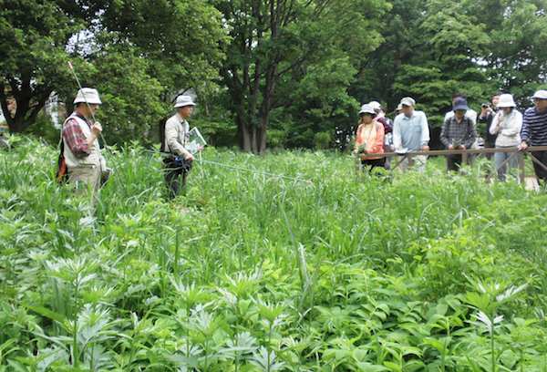 保全区域の案内