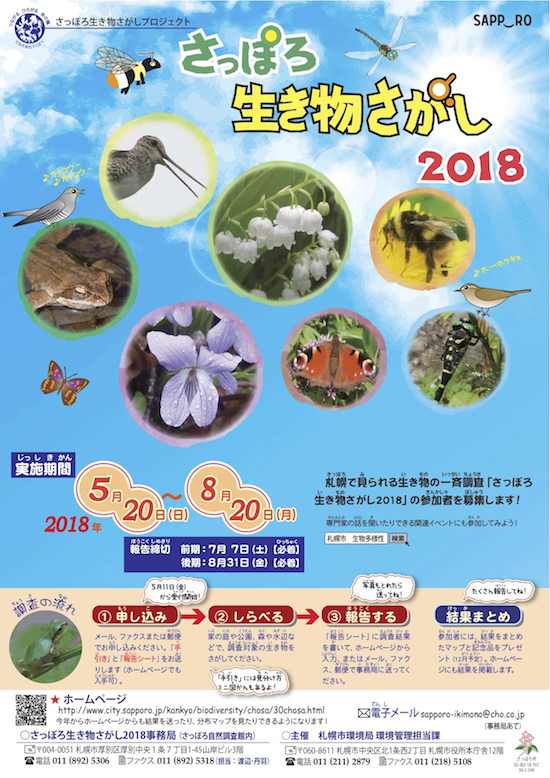 生き物探し