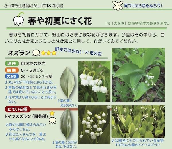 スズランの見分け方