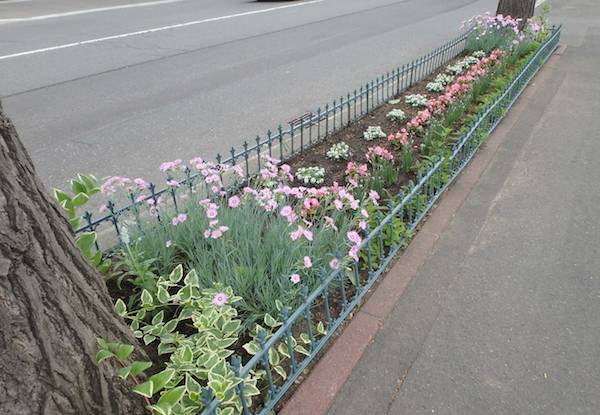 花壇ます