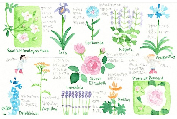イラスト展