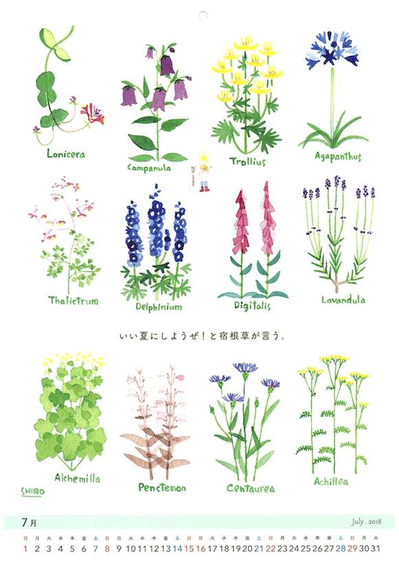 花カレンダー