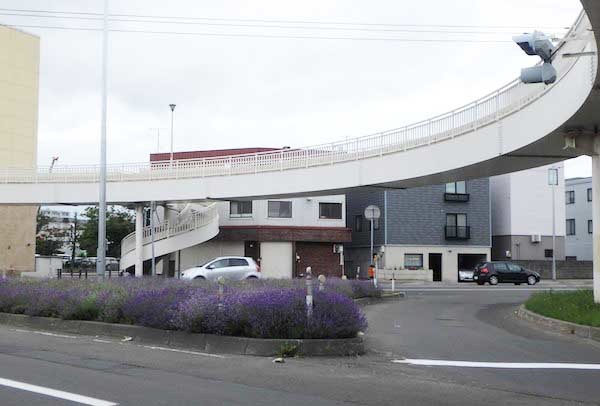 ラベンダー