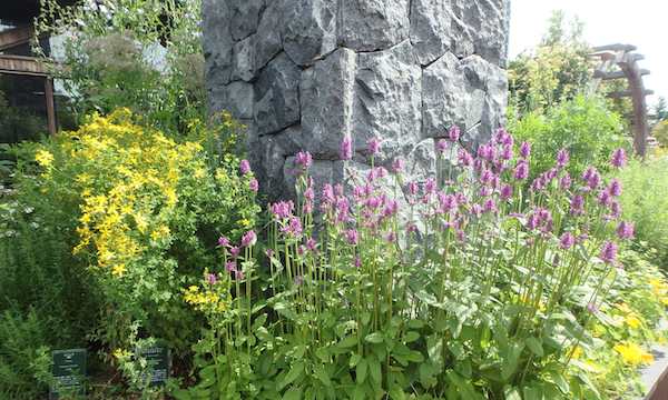 くらしの花園