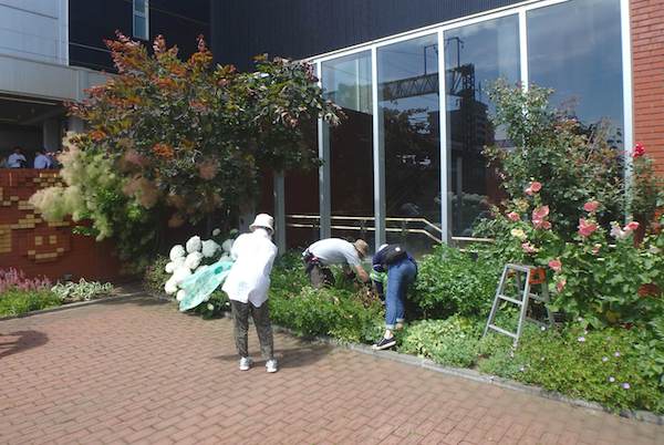 花がら摘み