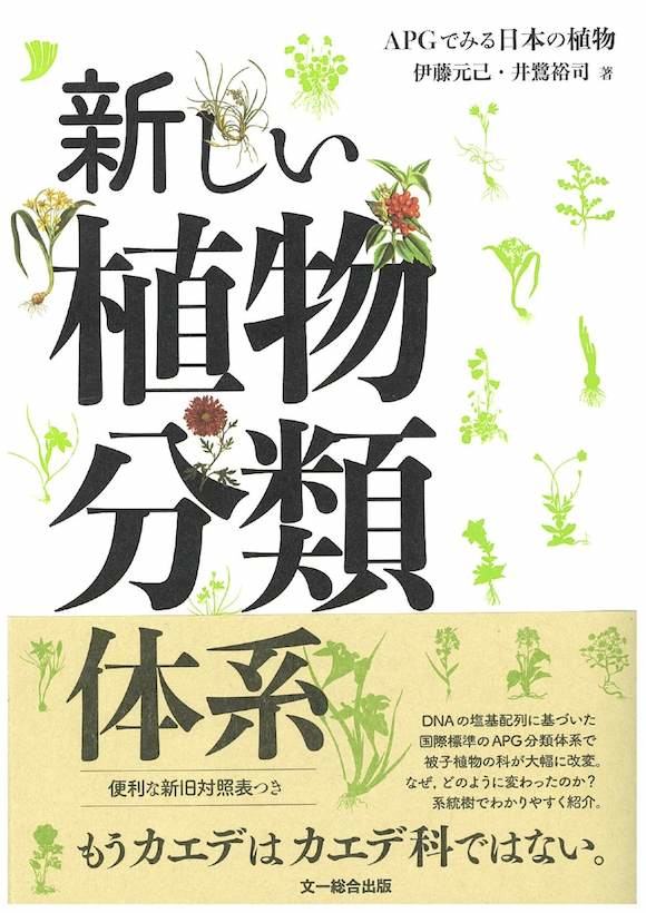 新しい分類体系