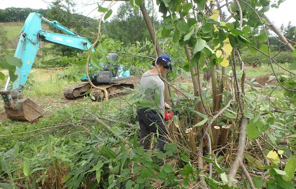 小屋の片付け