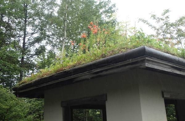 四阿の屋根