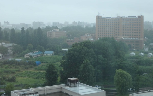園2圃場