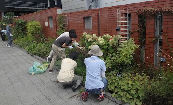 花がら摘み