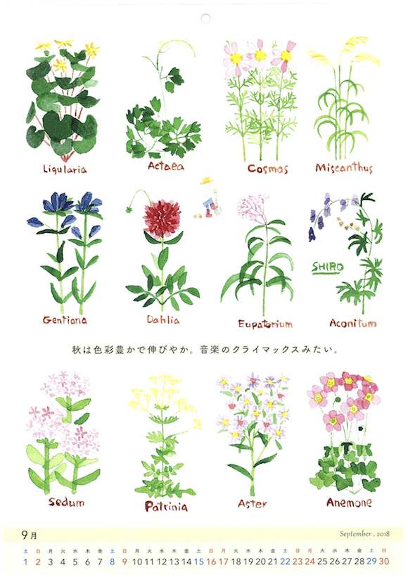 花カレンダー