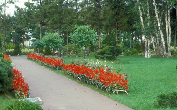 花壇