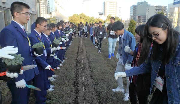 ラベンダー植え