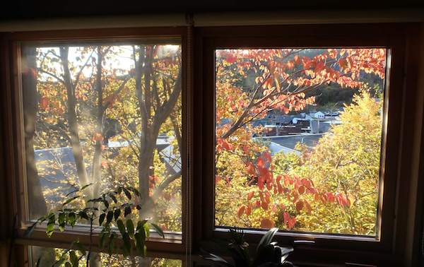 我が家の紅葉