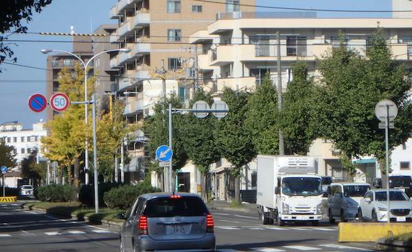 イチョウ街路樹