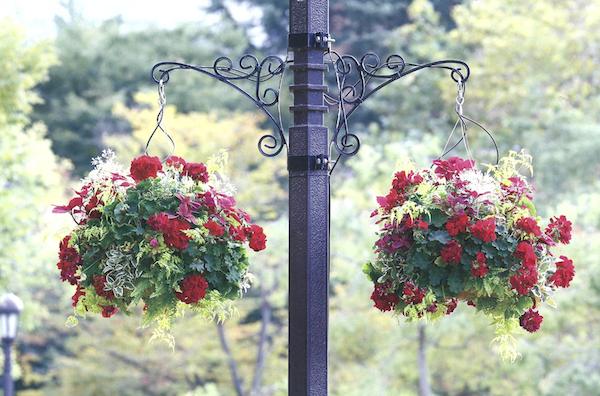 ガーデニングの花