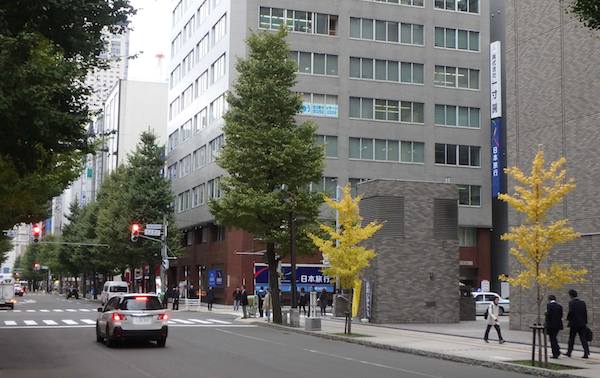 イチョウ街路樹