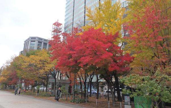大通公園
