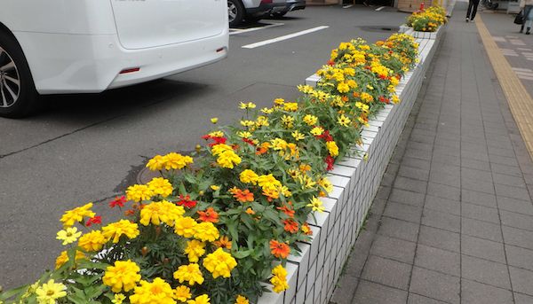 花壇