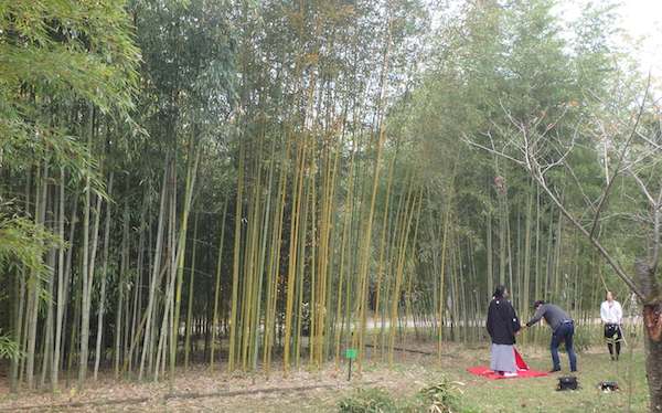竹林