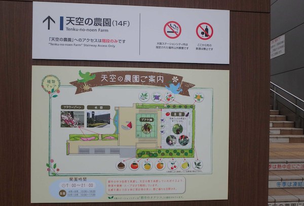 天空の農園