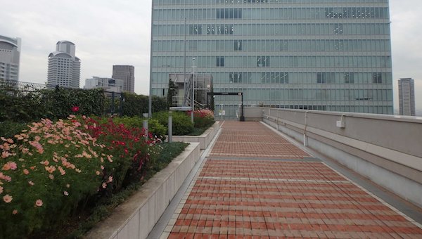 屋上