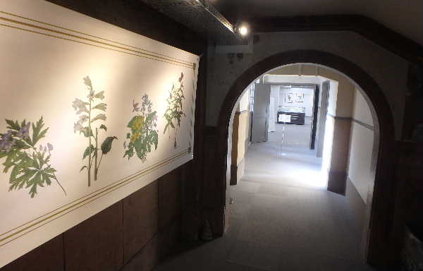 展示会場