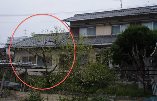和気の柿