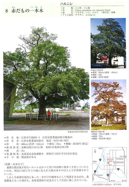 生振