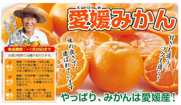 愛媛みかん