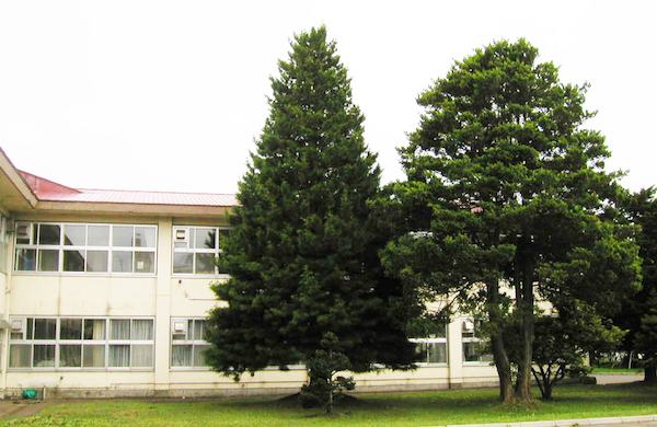 八雲