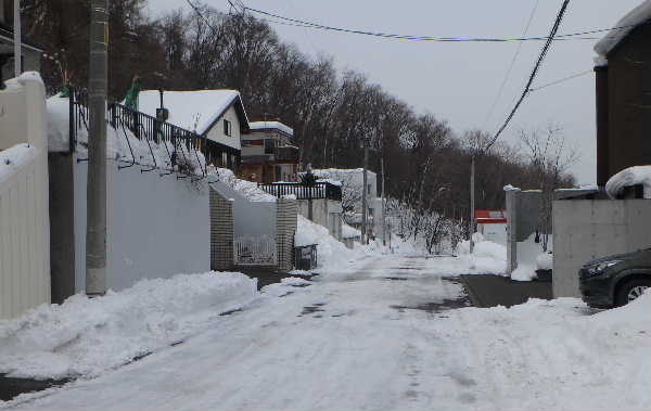 排雪