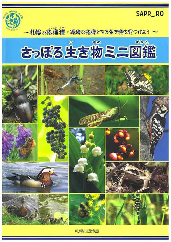 表紙