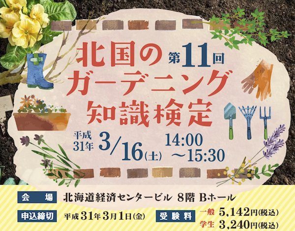 ちらし