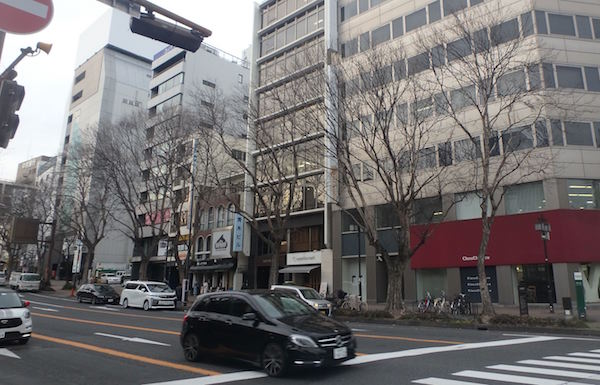 トウカエデ