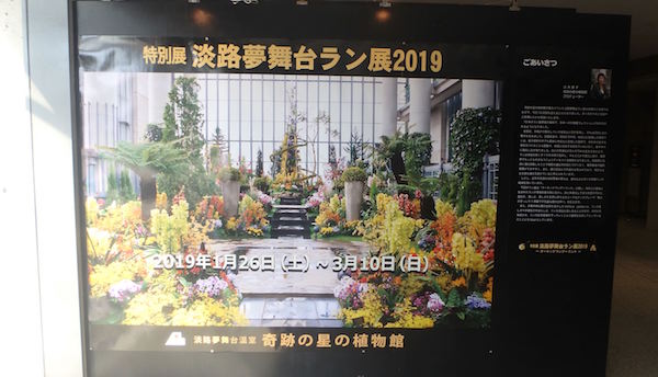 ラン展