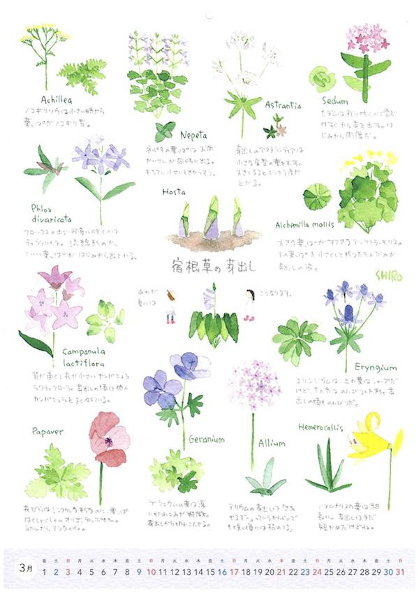 花カレンダー
