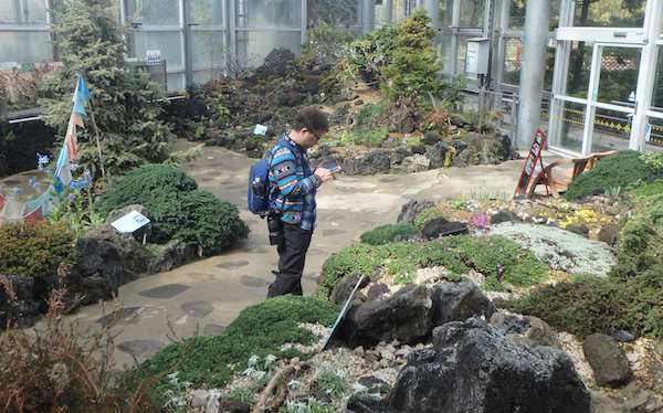高山植物室