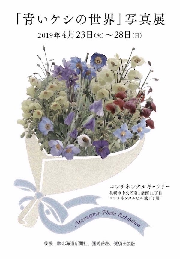 青いケシ展