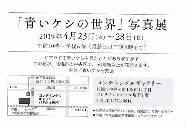 案内