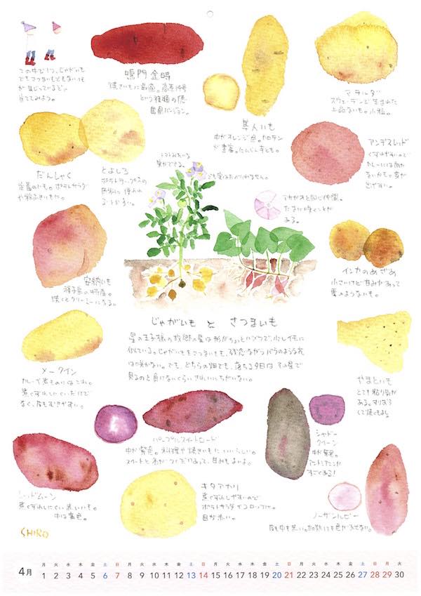 野菜カレンダー