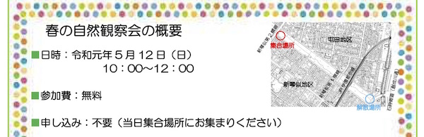 チラシ