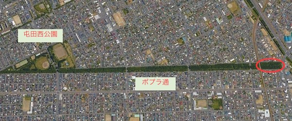 ポプラ通