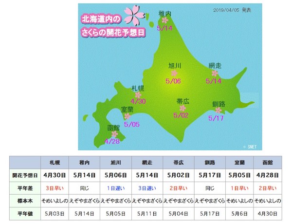 サクラ